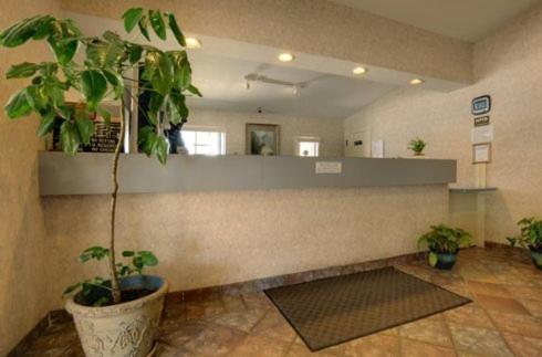 Edinburg Executive Inn Dış mekan fotoğraf